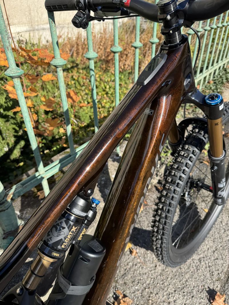 Specialized Sworks turbo levo sl