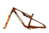 KTM KTM Scarp MT Exonic Evo 3 Paris - Fox 34, SRAM GX AXS T-type