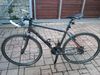 Pells Demon Elite Carbon