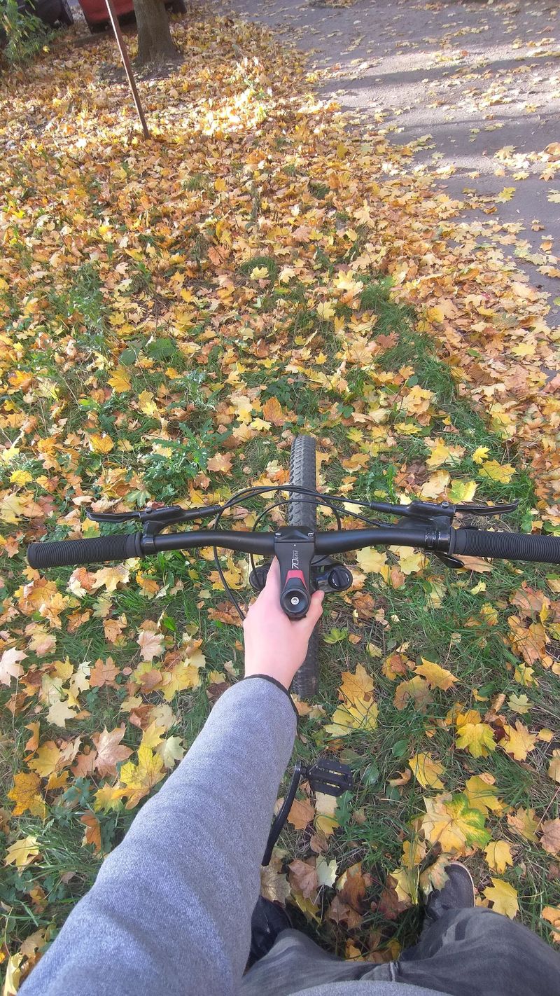 Rockrider St 530 s
