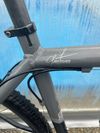 Trek Paragon