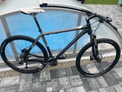 Trek Paragon