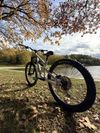 Canyon Torque AL6