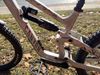 Canyon Torque AL6