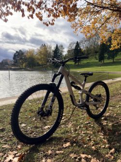 Canyon Torque AL6