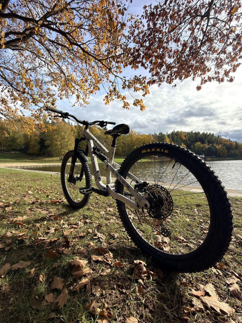Canyon Torque AL6