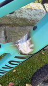 Canyon Spectral 6