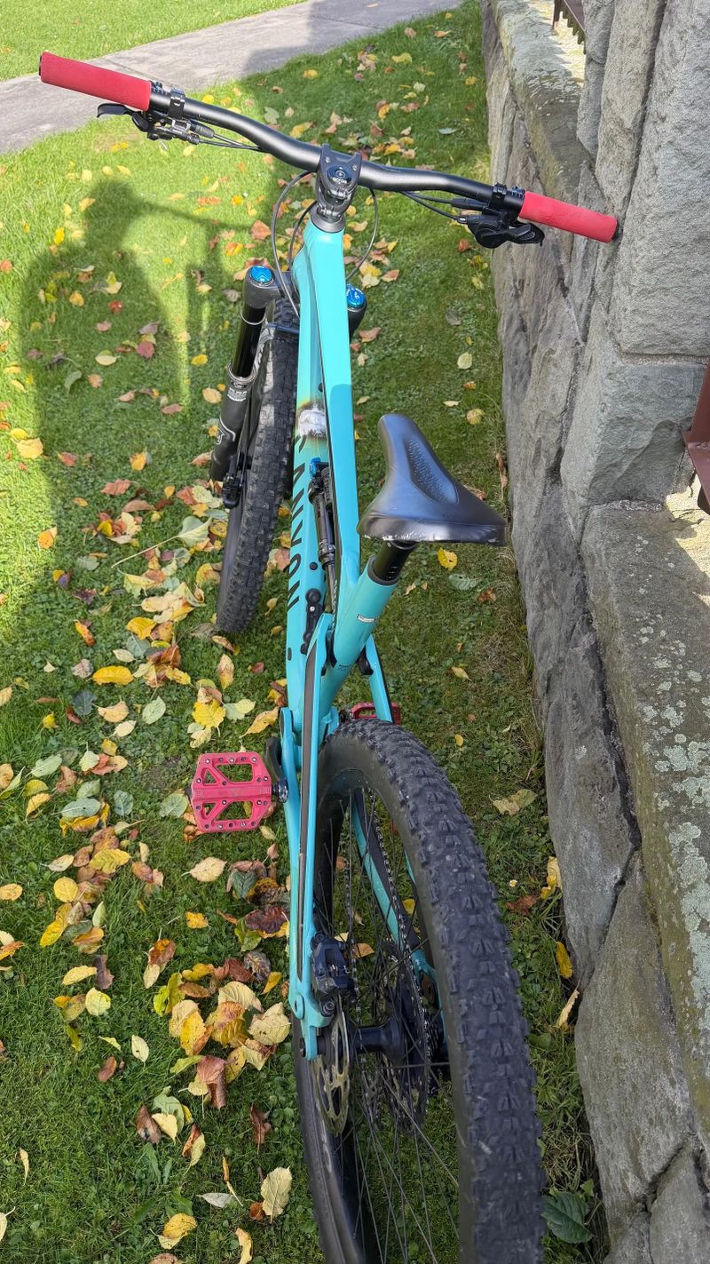 Canyon Spectral 6