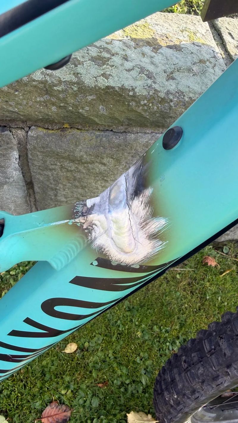 Canyon Spectral 6