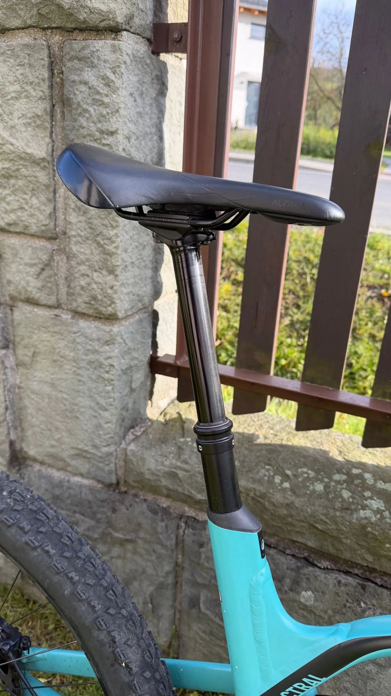 Canyon Spectral 6