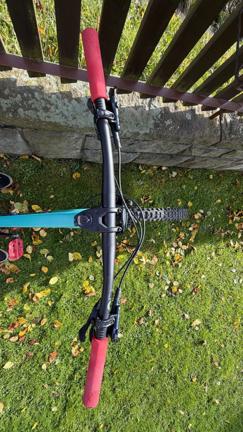 Canyon Spectral 6