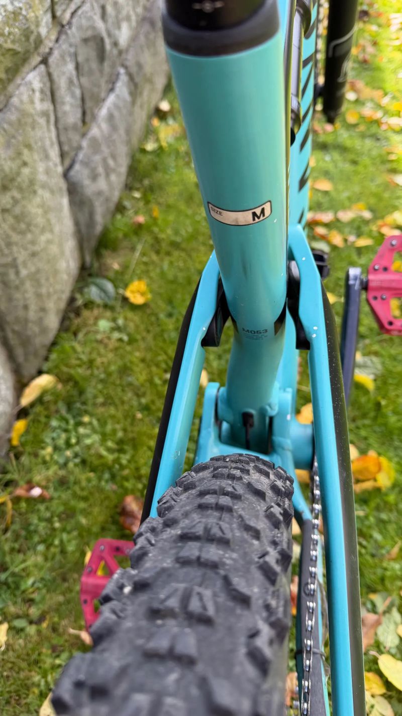Canyon Spectral 6