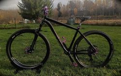 Horské kolo 29' (vel.19'') Custom