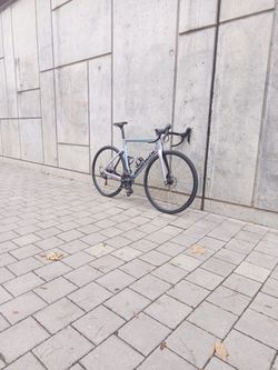 Bianchi Aria