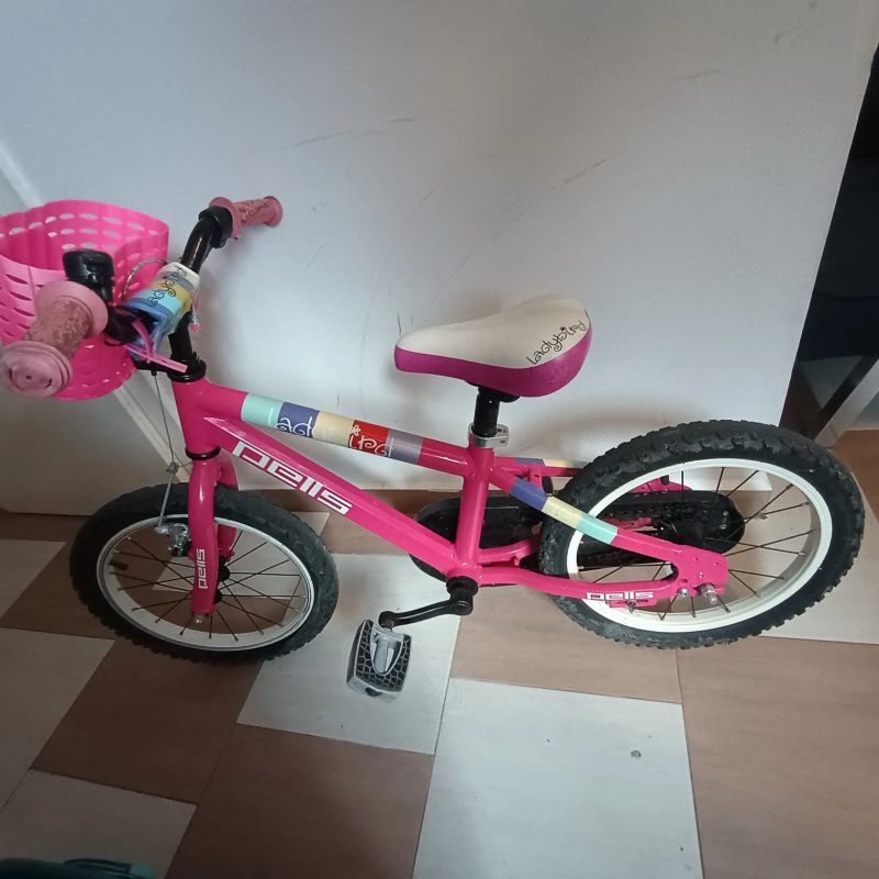 Prodám kolo Pells