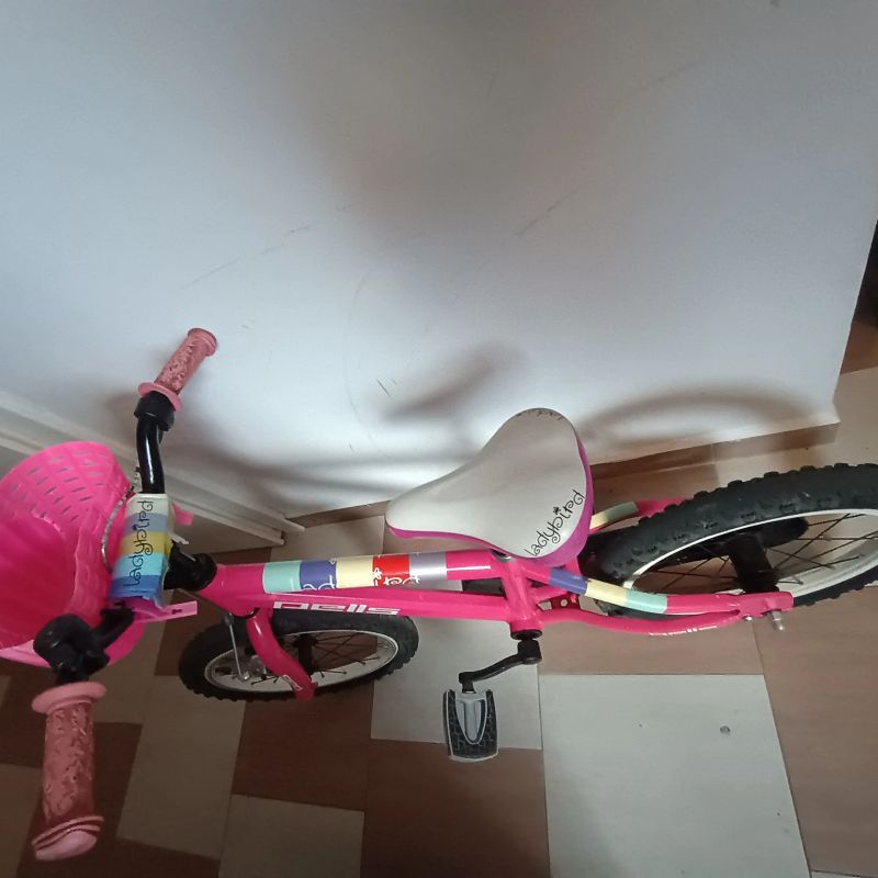 Prodám kolo Pells