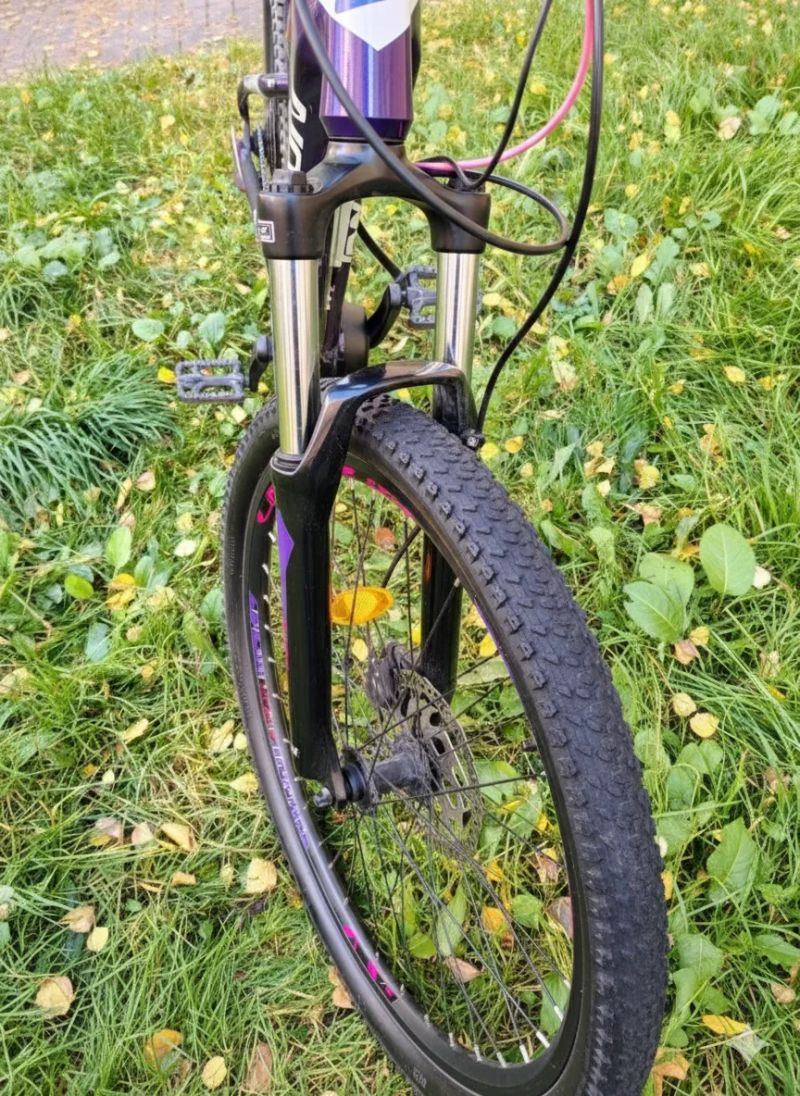 Lectron Montana