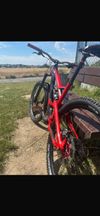 YT CAPRA 2017
