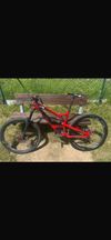 YT CAPRA 2017