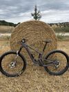 Santa Cruz Tallboy