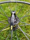 Mavic
