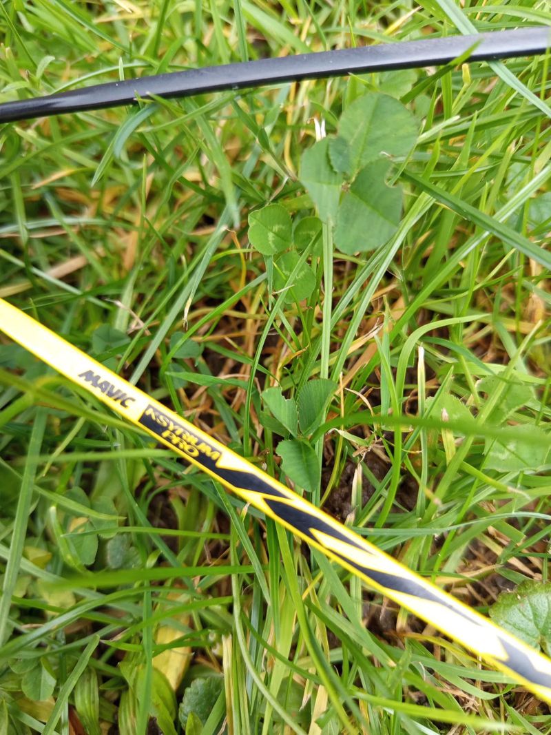 Mavic