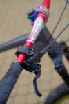 Dartmoor Primal 29