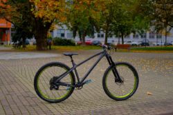 Dartmoor Primal 29
