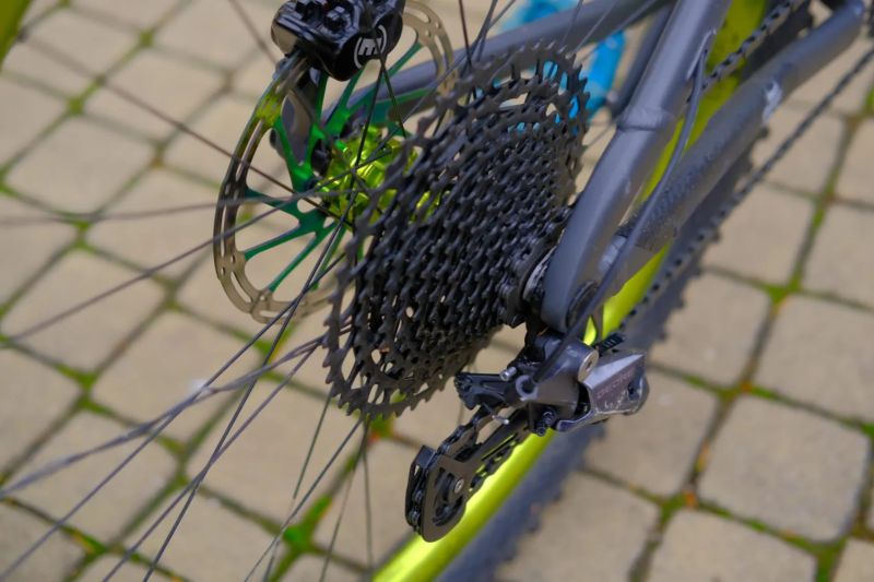 Dartmoor Primal 29