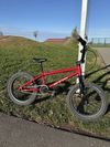 CTM 16" Sprig