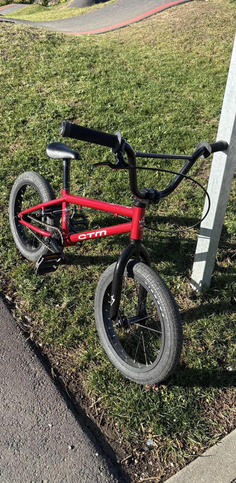 CTM 16" Sprig