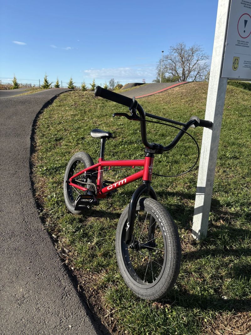CTM 16" Sprig