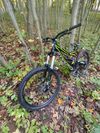 Specialized Status 1