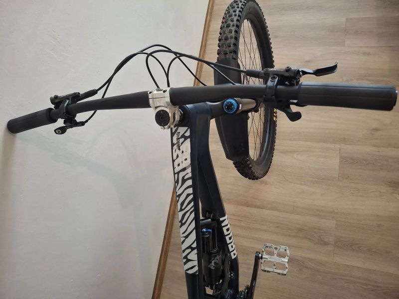 Radon Swoop carbon 10.0 2024