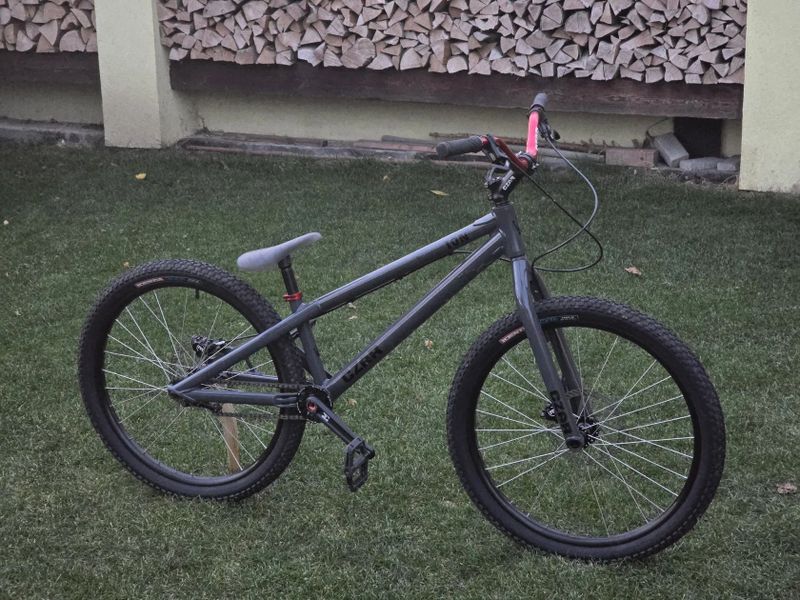 Czar Ion 24