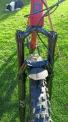 Pells Root 1