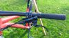 Pells Root 1