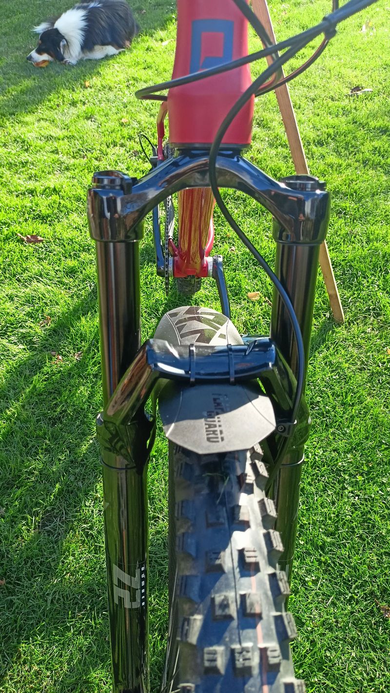 Pells Root 1