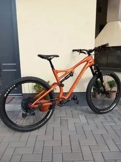 Whyte 