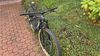 Juniorské karbonové kolo Felt 29", velikost S