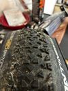 2 x Continental RACE King 27,5 x 2,2" Race Sport TLR