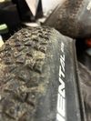 2 x Continental RACE King 27,5 x 2,2" Race Sport TLR