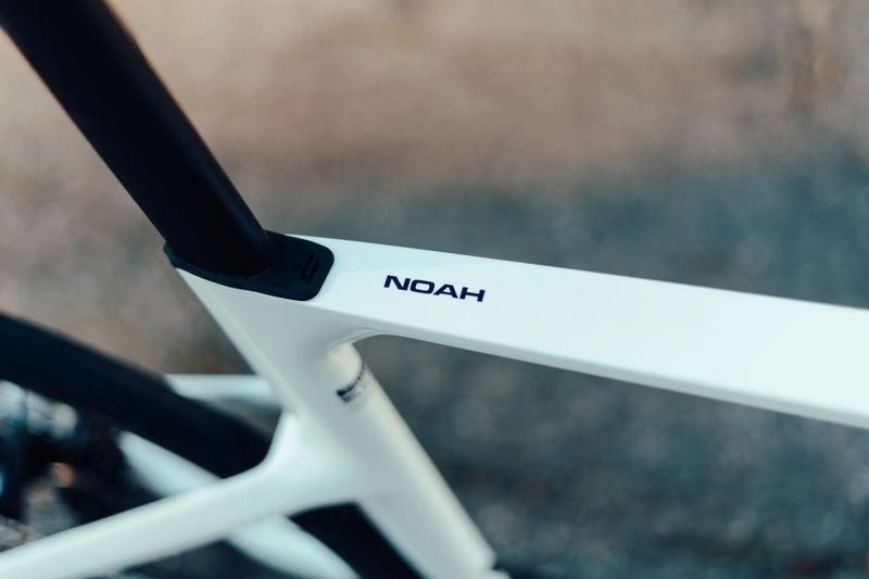 RIDLEY Noah