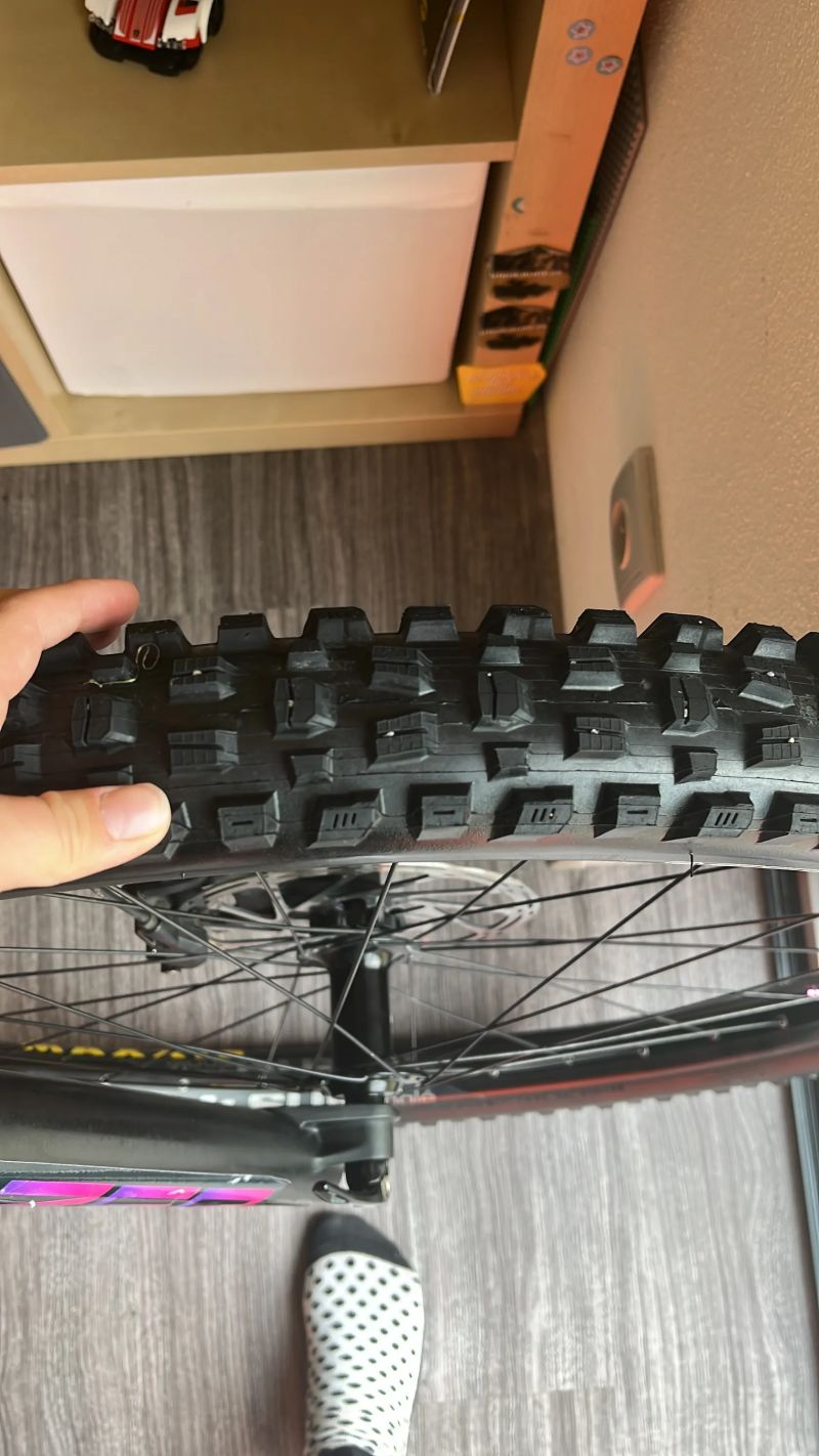 Yt Capra 2023