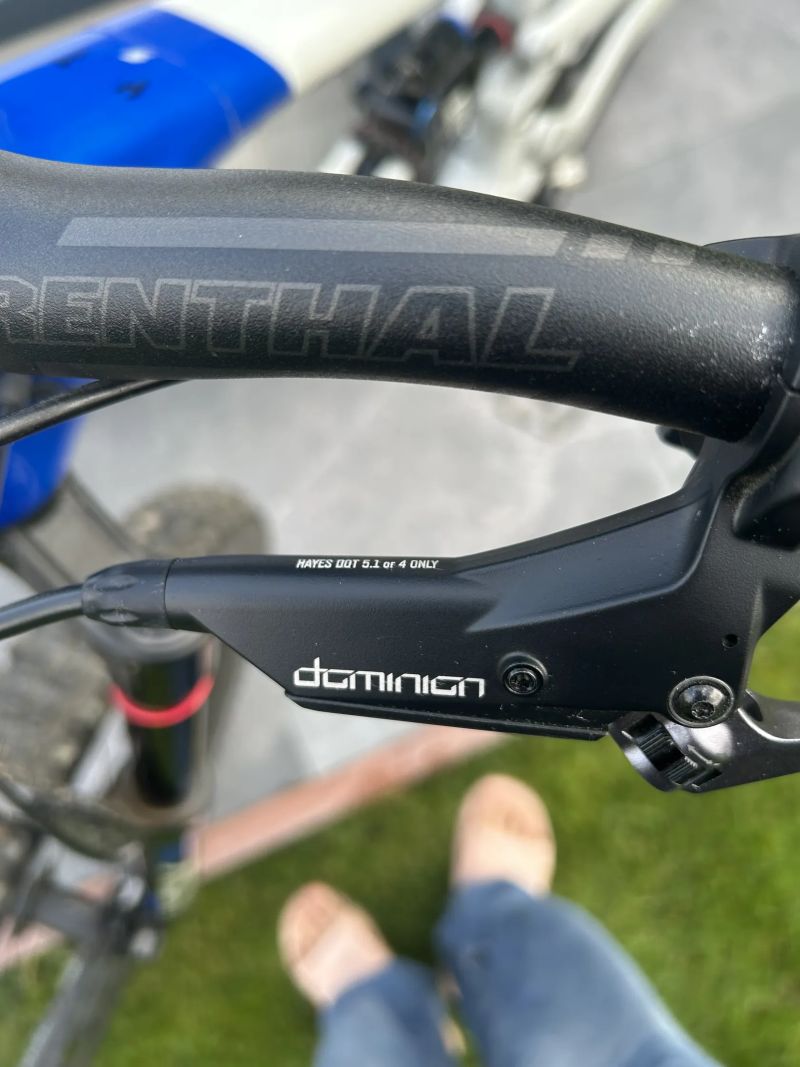 BRZDY HAYES DOMINION A4