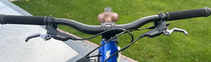 BRZDY HAYES DOMINION A4