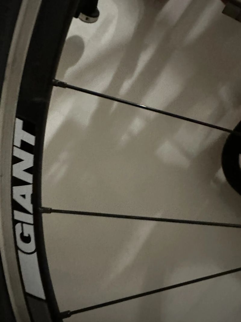 Giant Defy