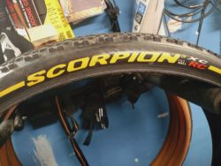 Pirelli scorpion