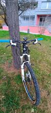Canyon Nerve xc 8.0