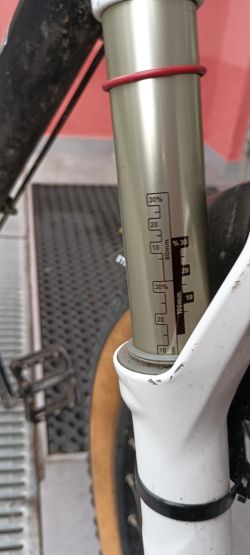 Canyon Nerve xc 8.0
